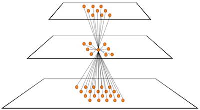 Complexity Level Analysis Revisited: What Can 30 Years of Hindsight Tell Us about How the Brain Might Represent Visual Information?